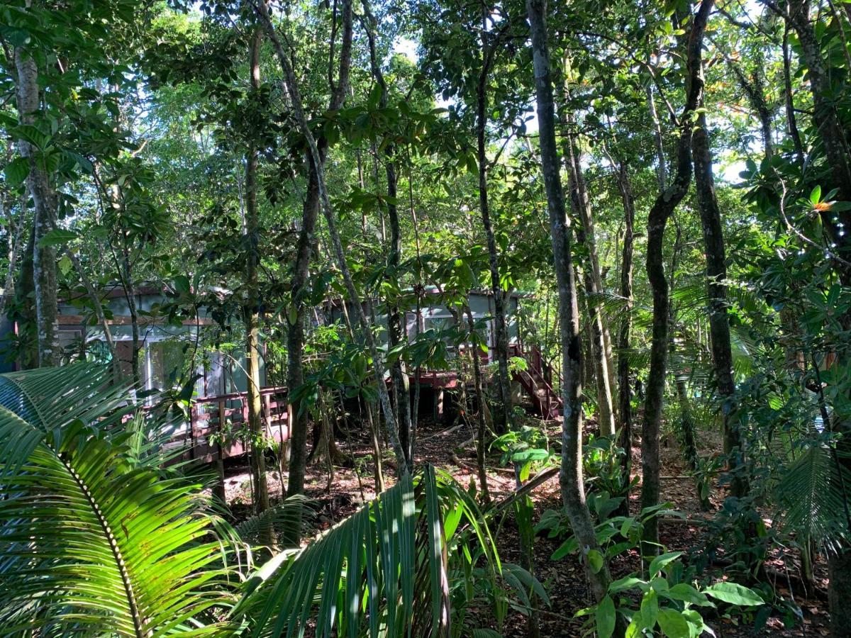 Lusia'S Lagoon Chalets Salelologa Exterior photo